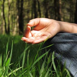 Meditatie introductiedag