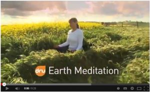Dru Aarde meditatie